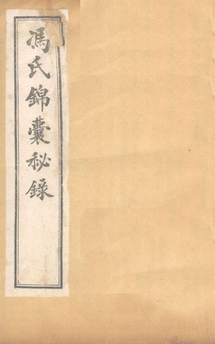 冯氏锦囊秘录杂症大小合参  卷1、卷2